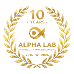 10 Years Excellence Wreath